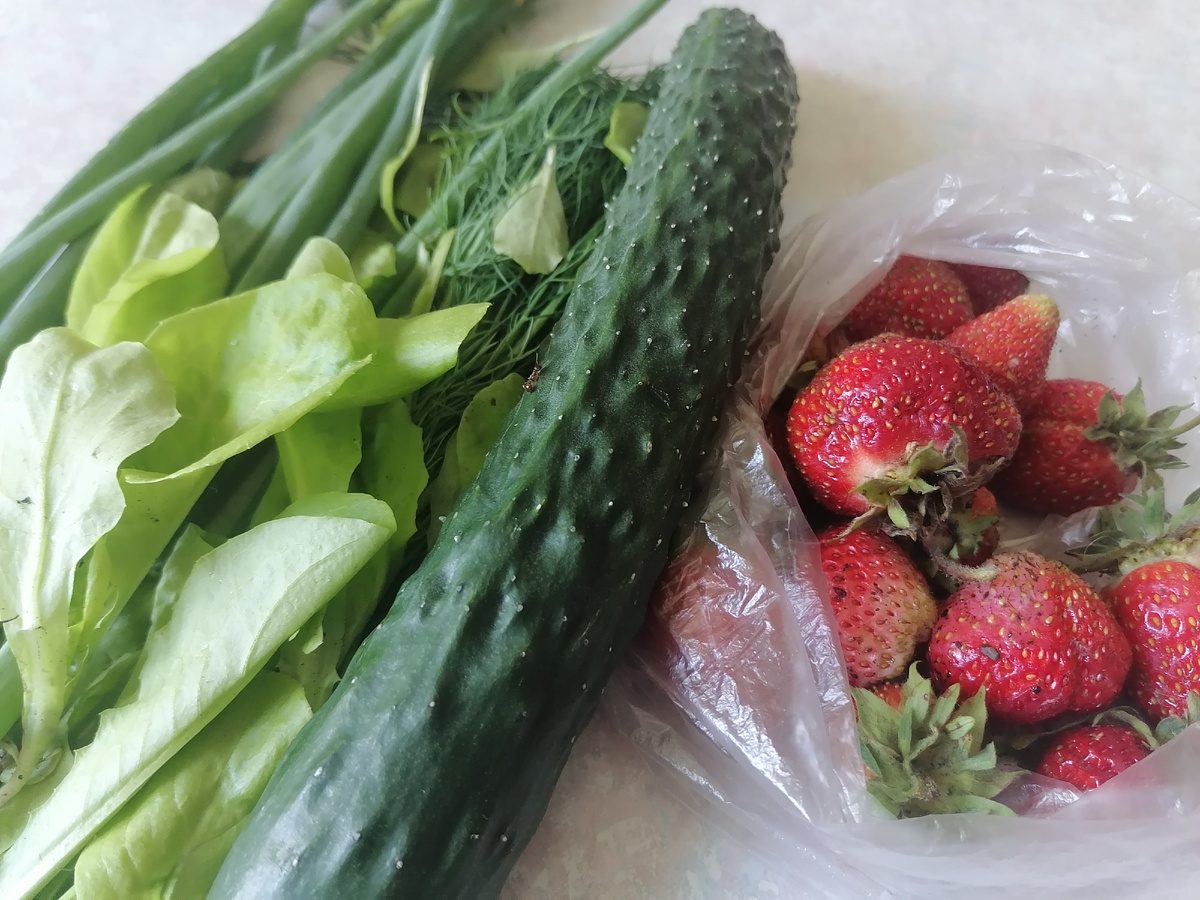 23 июня, в центре китайский огурец