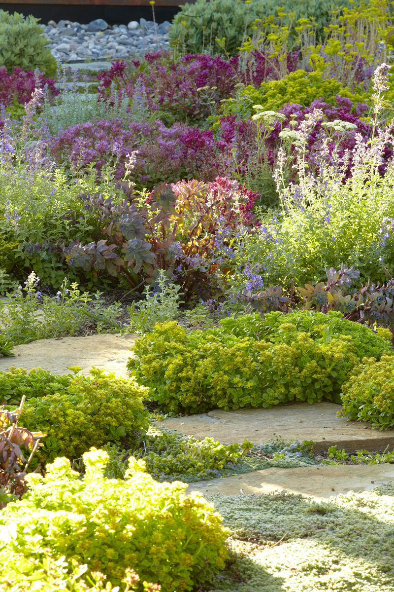 Ландшафтный дизайн на своём участке