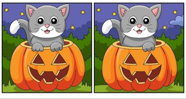 Игра "Найди отличия"