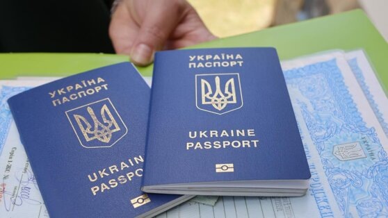    В ФРГ объяснили помощь Киеву угрозой волны миграции украинцев в ЕС Андрей Бурков