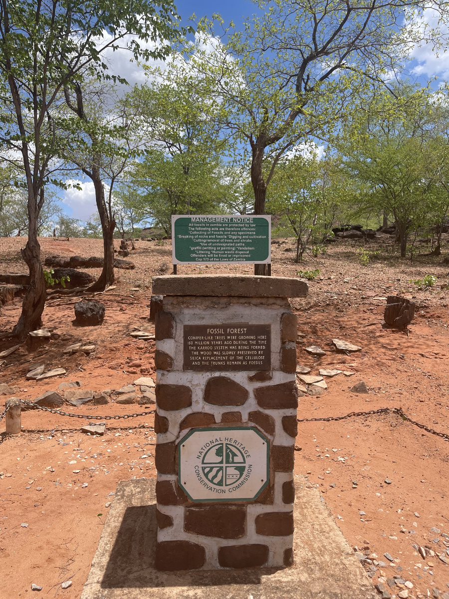 Вход в парк Юркского периода Чирунду 