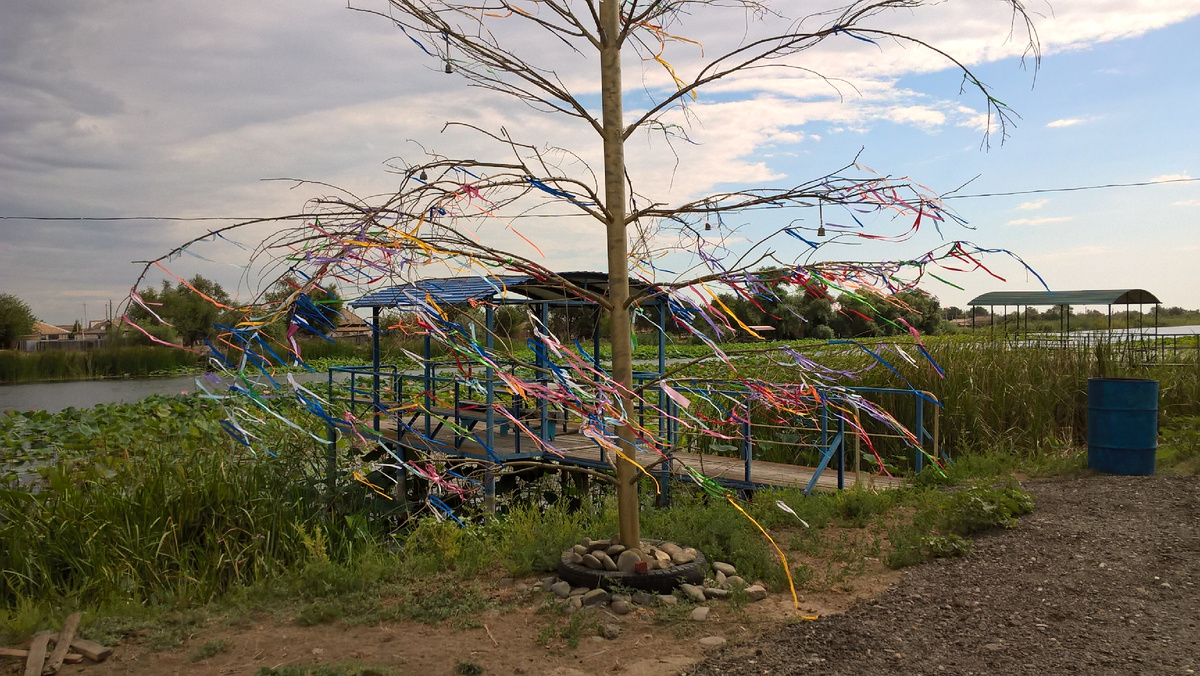 3. Фестиваль. Дерево желаний.