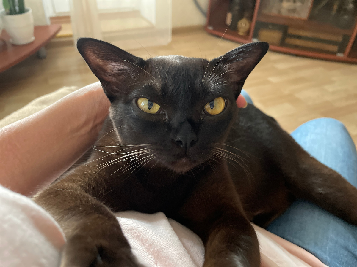 Честно — я напрягалась от этого взгляда, постоянно ожидая подвоха