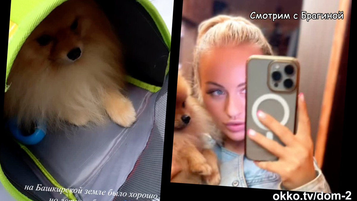 Фото: соцсети
