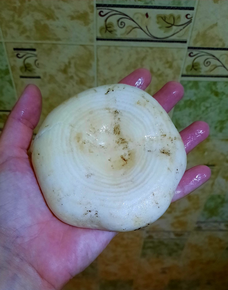 Мыла как могла 