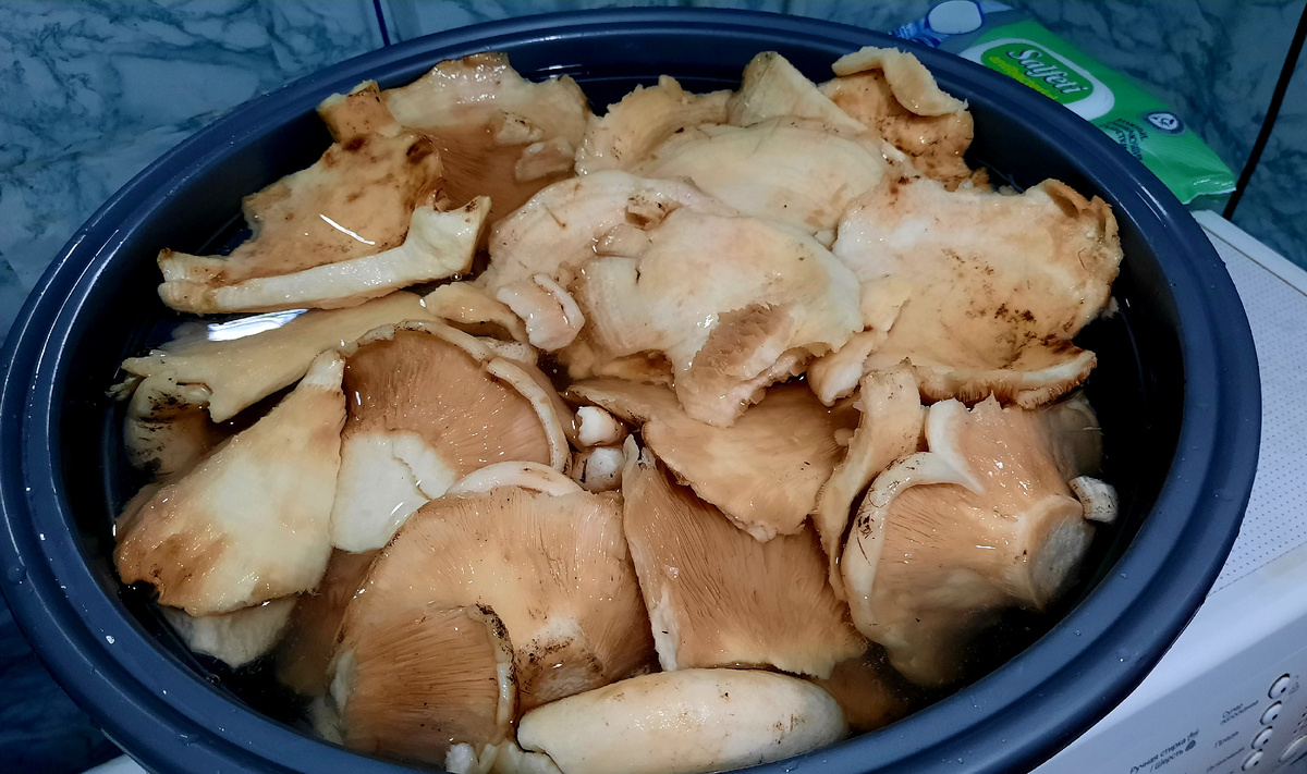 Отмыла и залила холодной водой 