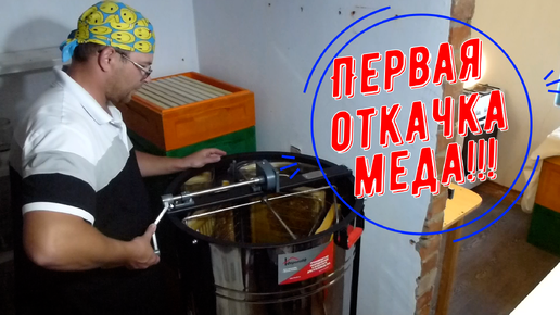 Первая медогонка и Первая откачка меда!!!