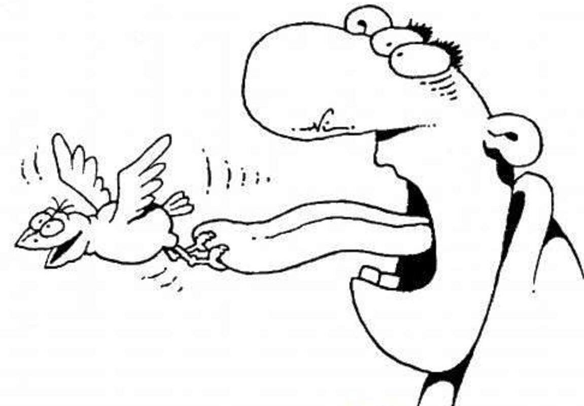 - Ку, ку, ку-ку, ку! Ку-у-у-у...