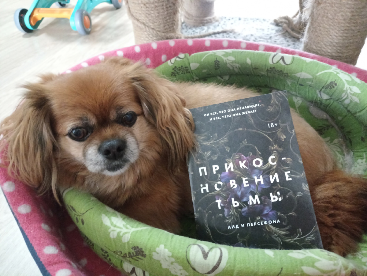 Мой главный помощник и подставка