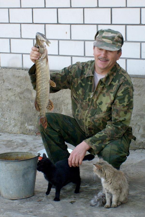 Фото автора. Наконец могу выкладывать свои фотки хронологически. 2008 год. В отпуске. Дратую котов.