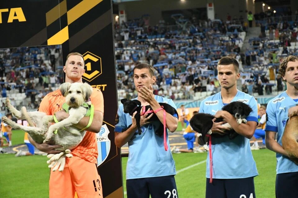 Волгоградский "Ротор" вышел на поле со щенками на руках