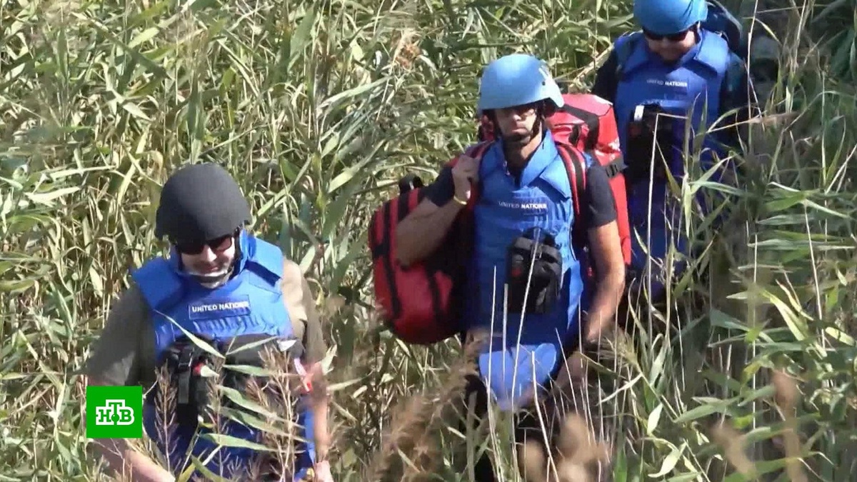    МАГАТЭ отчиталось об итогах осмотра ЗАЭС после пожара