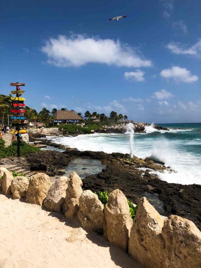    Фото: Татьяна Гарбуз