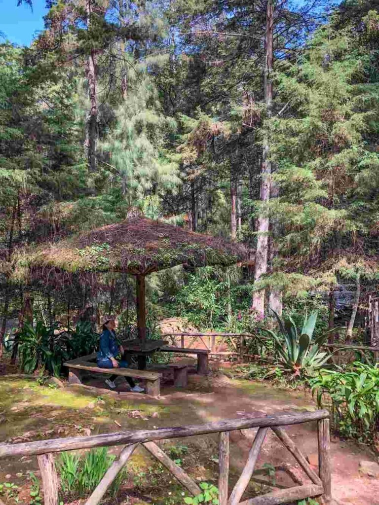    Фото: Татьяна Гарбуз