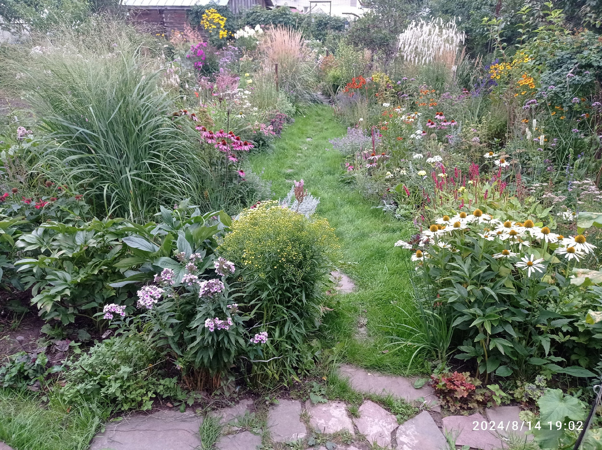 сейчас

Ливни позади, листайте галерею, первое фото как раз после ливней, потом причесались, обсушились, сияем!
