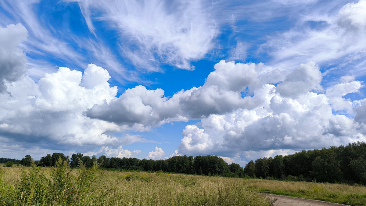 Кучковались над лесами