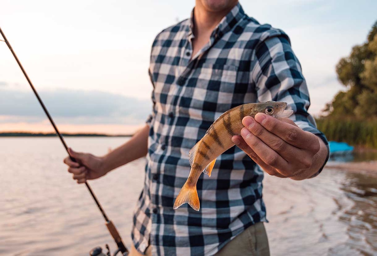 Алтай
Сахалин
Челябинская область

Волгоградская область
Ленинградская область
Калининградская область

Карелия
Ростовская область
Иркутская область

Подмосковье
Самарская область
Селигер

Астрахань
Приморский край
Башкортостан

Пермский край
Крым
Ярославская область

Камчатский край
Владивосток
Красноярск
