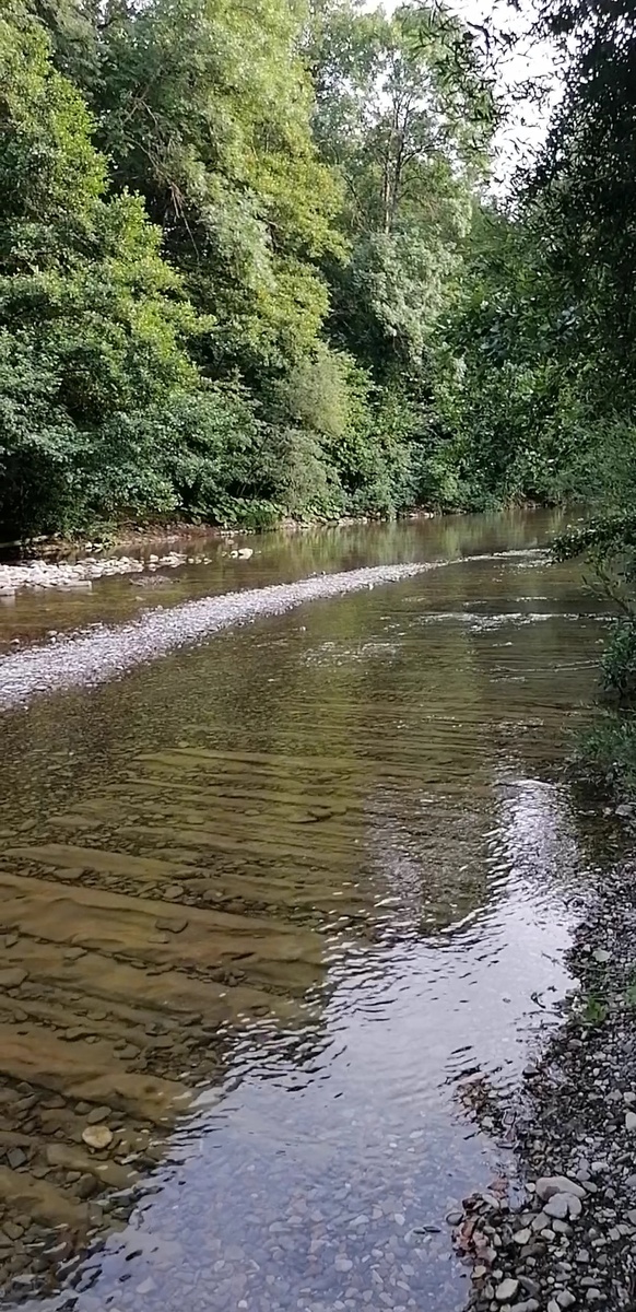 Ребра земли возле станицы Шапсугской абинского района. Фото автора.