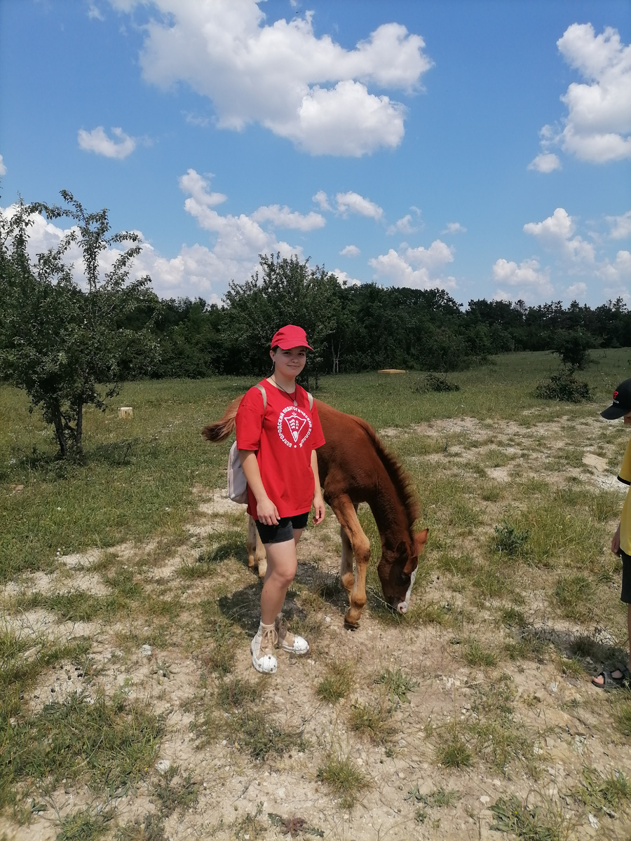 Родная внучка с жеребенком. Фото автора.