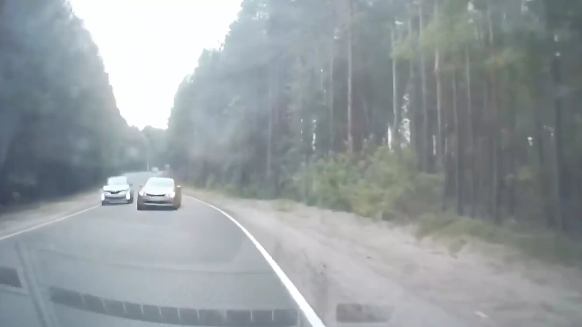     Источник: Скриншот видеозаписи