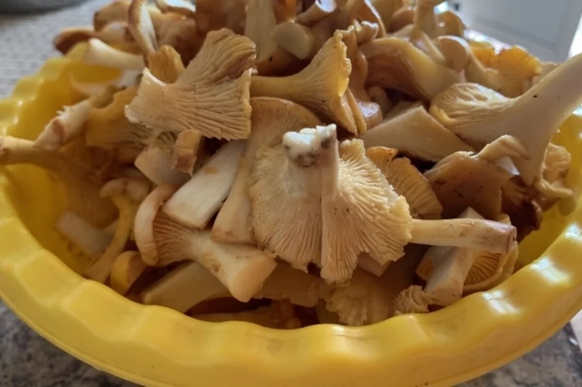    Жители Татарстана по-прежнему находят гигантские грибы