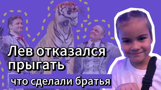 Цирк братьев Запашных в Москве, очень понравилось!