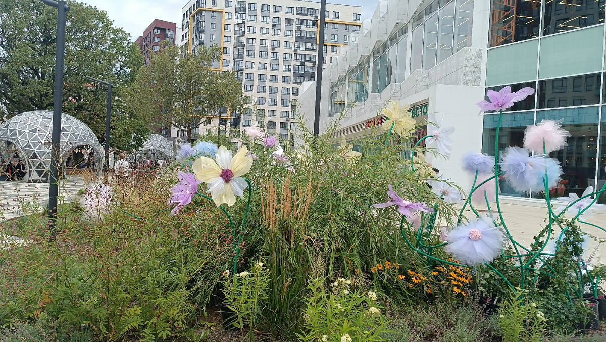 Где в Москве приятно и весело жить