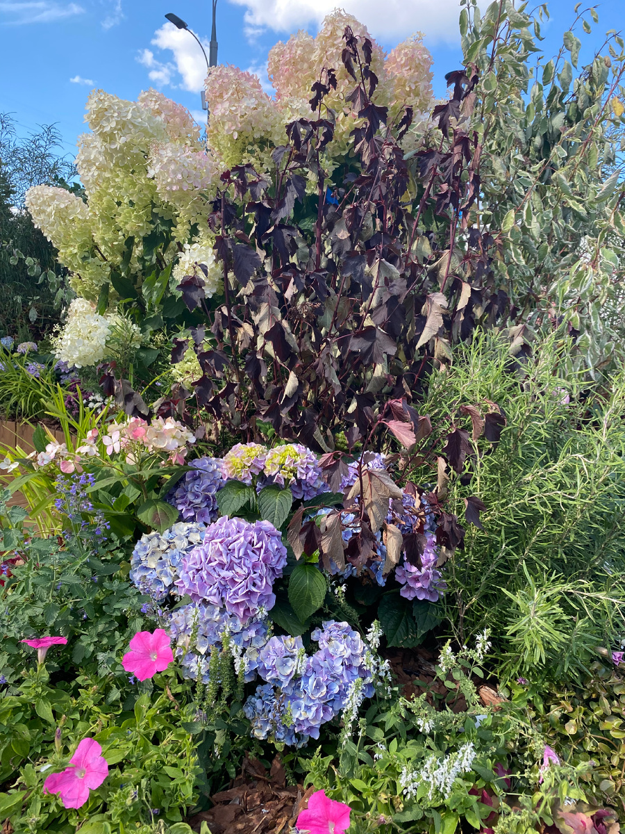 Цветы на Парке культуры