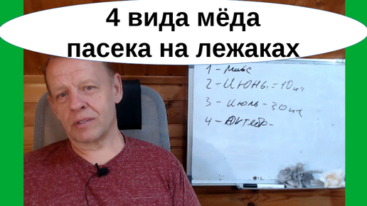 2-4 вида мёда - вариант диверсификации пчеловодства как бизнес на стационарной пасеке