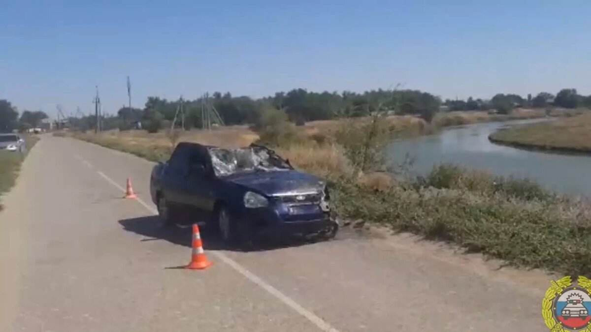     Источник: ГУ МВД по Волгоградской области