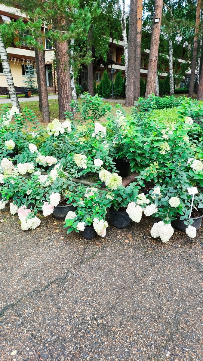 Фотография автора 