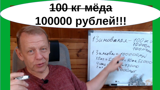 Задача пчеловодства как бизнес не 100 кг мёда, а 100 000 рублей с зимовалой пчелосемьи в ульях-лежаках