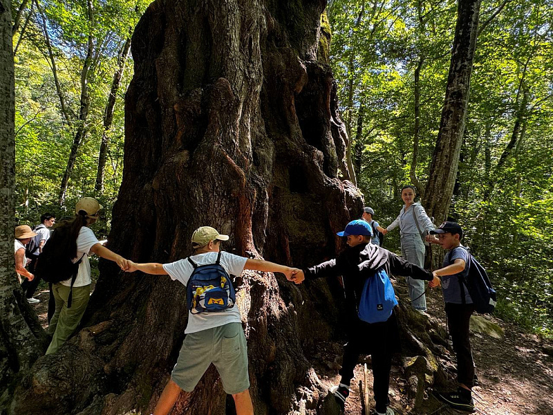  📷