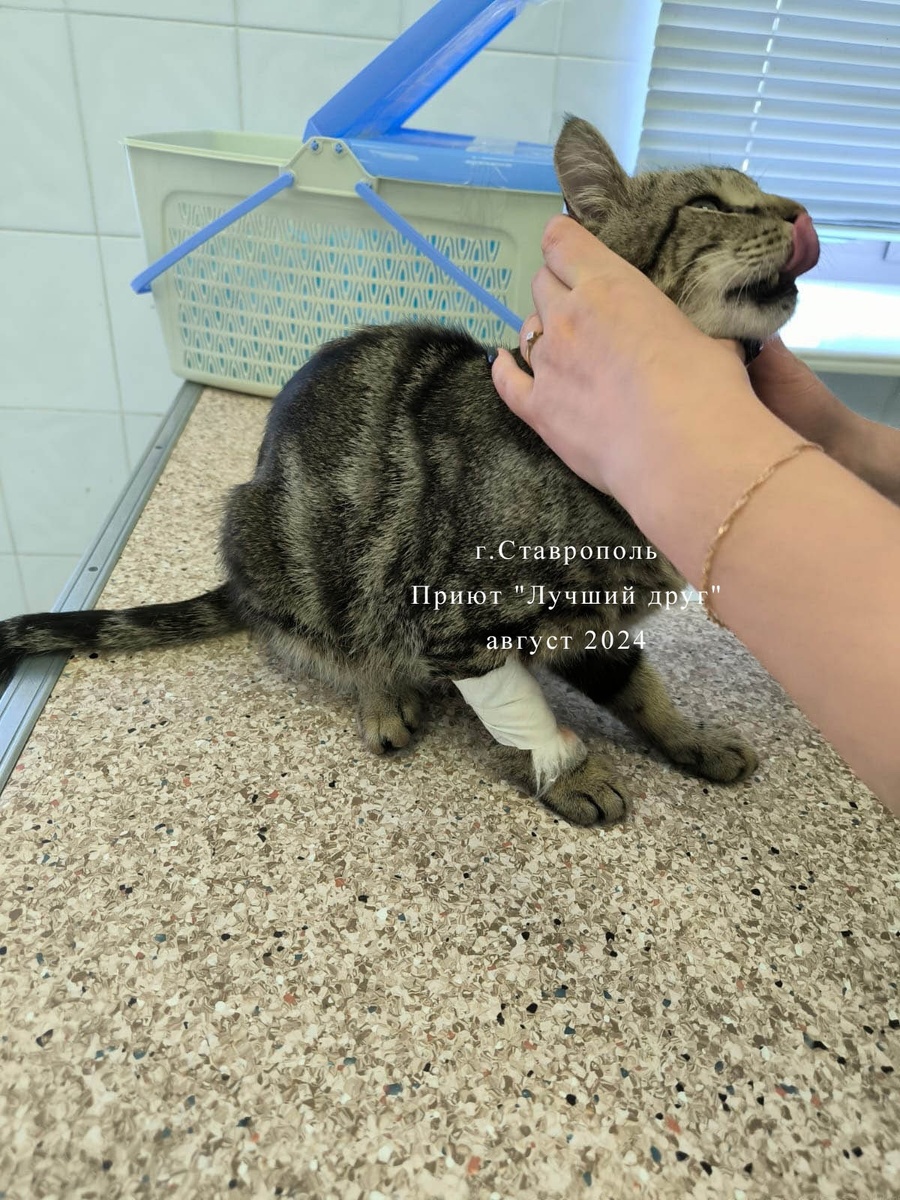 -2-2