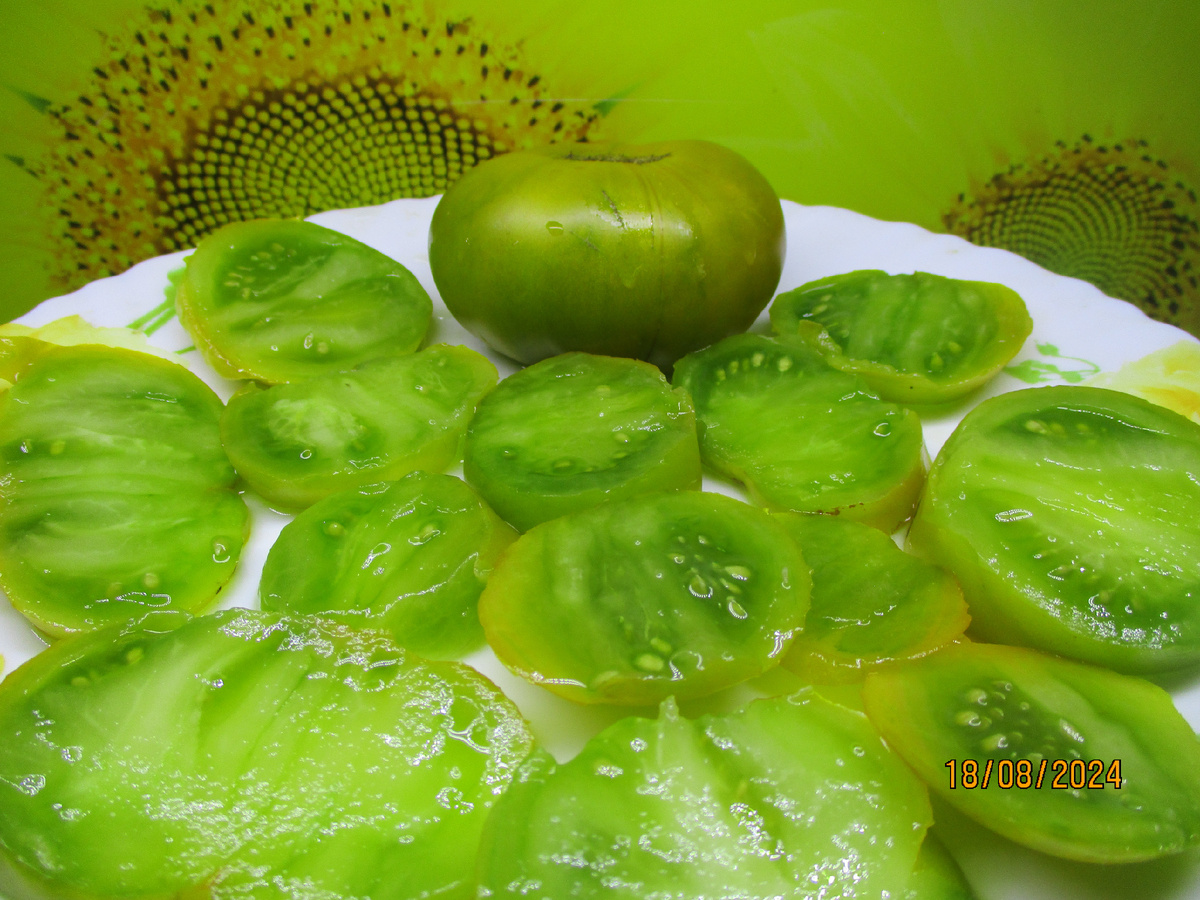 №878. Томатный Гном Большой зеленый Карлик.