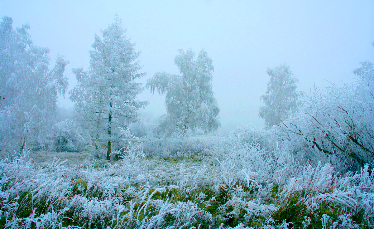 Фотография, стихотворение Василия Глуцкого