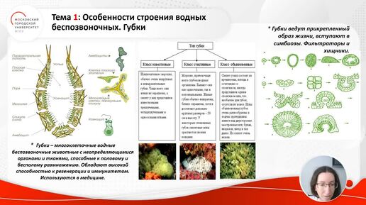 ID1266I Многообразие и основы жизнедеятельности животных фрагмент 2