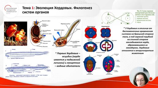 ID1267I Многообразие и основы жизнедеятельности животных фрагмент 3