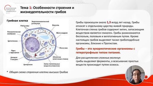 ID1273I Основы строения живого организма Разнообразие бактерий и грибов фрагмент 2