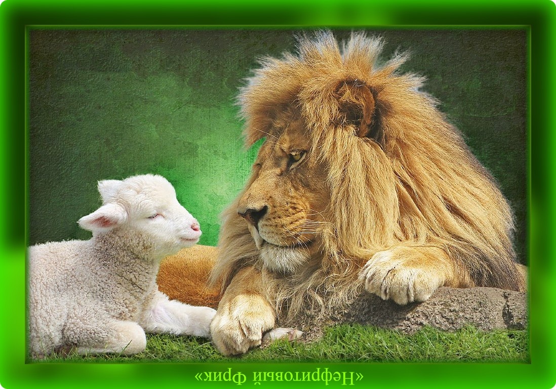 Лев, даже прожив полжизни в овечьей шкуре, не потеряет львиный характер. А человек?