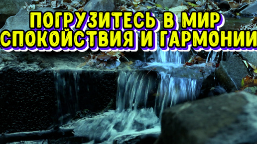 Погрузитесь в МИР спокойствия и гармонии