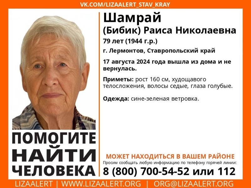      Фото: Волонтёрский поисковый отряд «ЛизаАлерт»