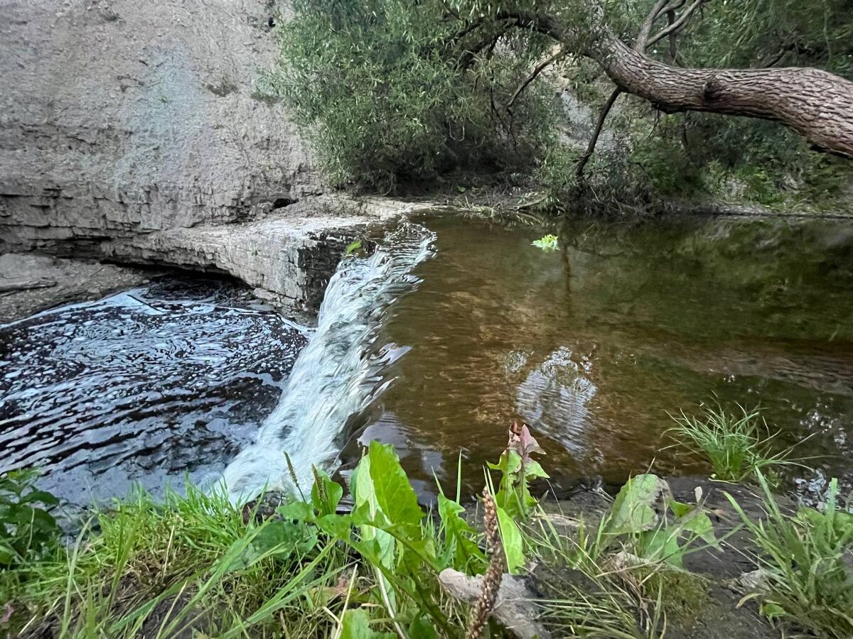 Спасибо сыну за фото. 