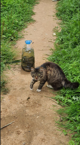 "Идите мимо, не смотрите на моих рыбов!"