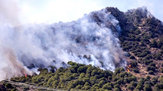    Турцию охватили лесные пожары Татьяна Сидорова
