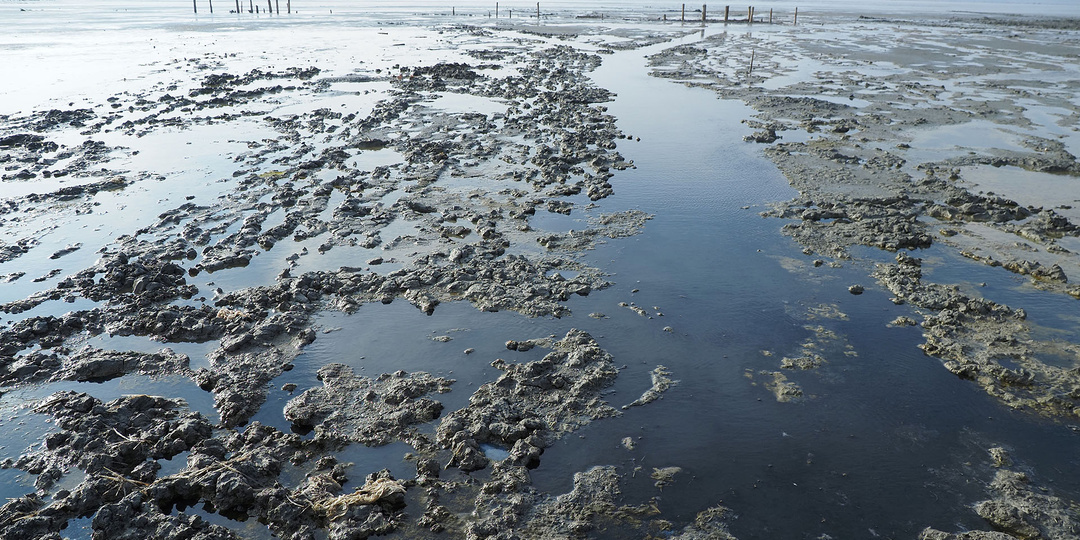 Как выглядит "грязевая лечебница" озера Чокрак в Крыму и в каких условиях там можно отдохнуть