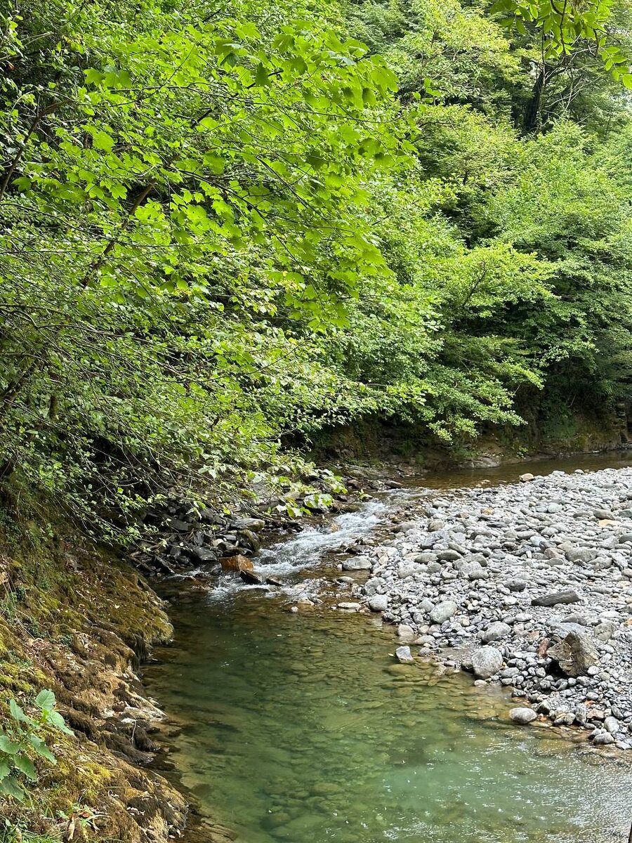 полнолуние 19 августа 2024