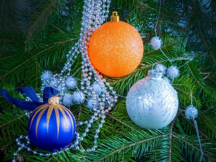     Фото Дмитрия Куткина («Вечерний Челябинск»)