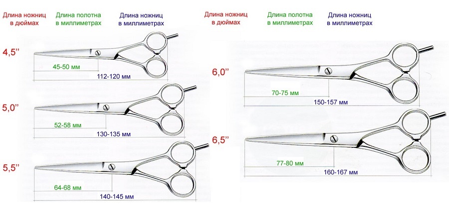 Картинка в качестве примера