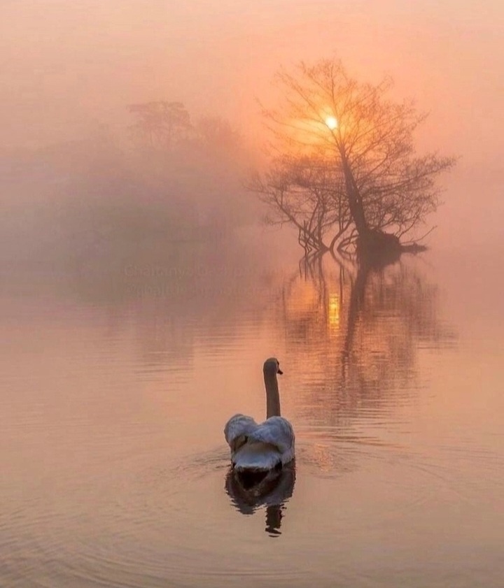 фото из общедоступных источников 